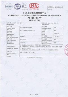 云筑环保检测报告A